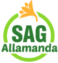 Sag Allamanda
