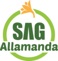 sag allamanda